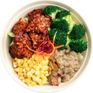 Tempeh Protein Set Vegan/ Vegetarian